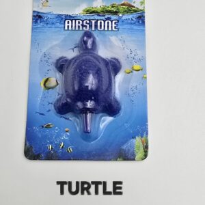 AIRSTONE TURTLE